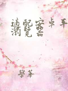 适配安卓平板的浏览器