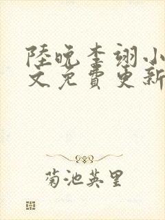 陆晚李翊小说全文免费更新时间