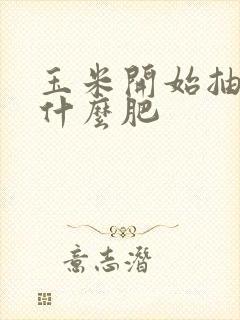 玉米开始抽穗施什么肥