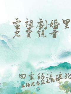 电视剧婚里婚外免费观看