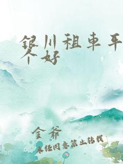 银川租车平台哪个好