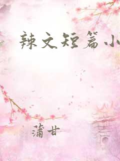 辣文短篇小说 辣文短篇小说