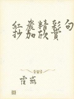 红岩精彩句段摘抄加欣赏