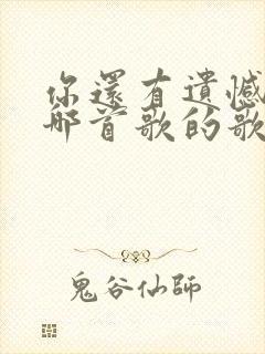 你还有遗憾吗是哪首歌的歌词