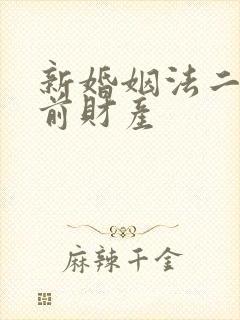 新婚姻法二婚婚前财产