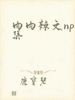 肉肉辣文np合集