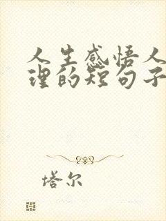 人生感悟人生哲理的短句子