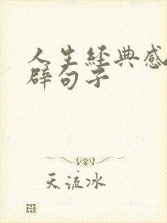 人生经典感悟精辟句子