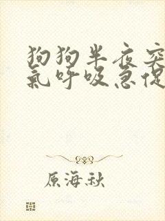 狗狗半夜突然喘气呼吸急促