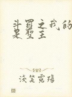斗罗之我的武魂是圣主