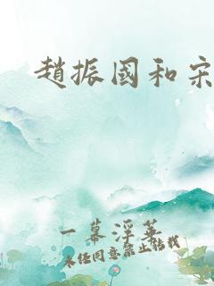 赵振国和宋婉清