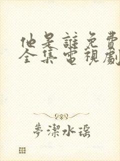 他是谁免费观看全集电视剧