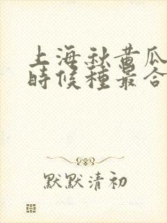 上海秋黄瓜什么时候种最合适