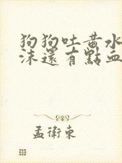 狗狗吐黄水带泡沫还有点血 狗狗吐黄水带泡沫还有点血