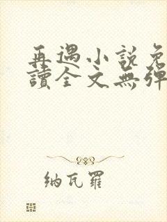 再遇小说免费阅读全文无弹窗