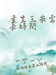 煮生玉米需要多长时间