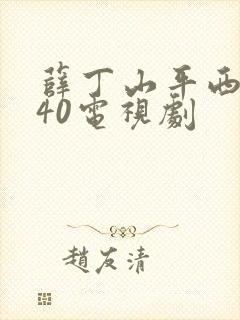 薛丁山平西全集40电视剧