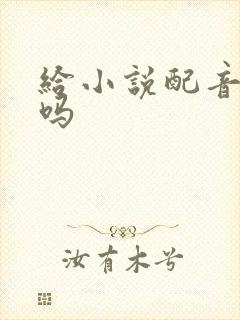 给小说配音赚钱吗