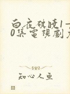 白夜破晓1—40集电视剧免费观看