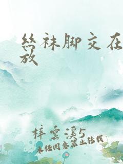 丝袜脚交在线播放