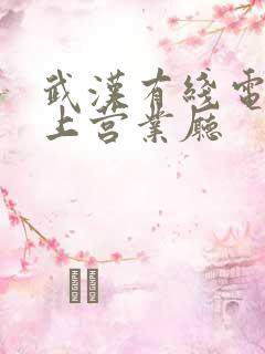 武汉有线电视网上营业厅