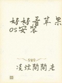 好好看苹果版ios安装