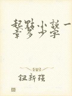 起点小说一般一章多少字