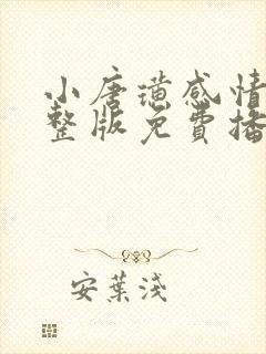 小唐璜感情史完整版免费播放