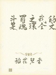 斗罗之我的武魂是魂环全文