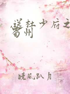 ,送杜少府之任蜀州
