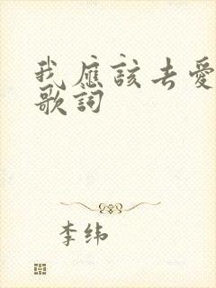 我应该去爱你 歌词