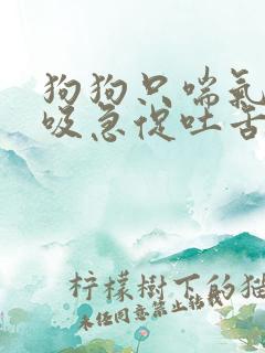 狗狗只喘气气呼吸急促吐舌头