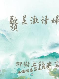 欧美激情妇乱视频