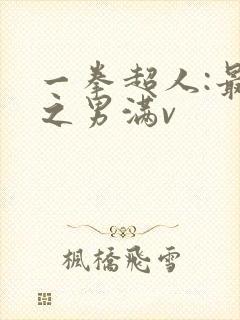 一拳超人:最强之男满v