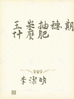 玉米抽穗期要施什么肥
