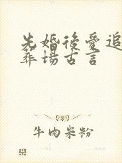 先婚后爱追妻火葬场古言