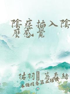 阴痉插入阴道什么感觉