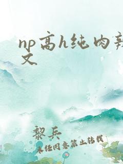 np高h纯肉辣文