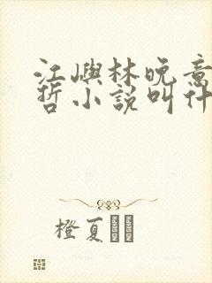 江屿林晚意沈修哲小说叫什么名字 江屿林晚意沈修哲小说叫什么名字