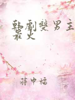 韩剧双男主推荐最火