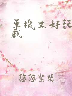 单机又好玩的游戏