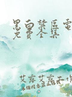 黑白禁区电视剧免费全集