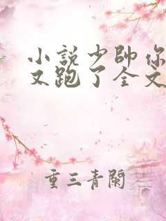 小说少帅你老婆又跑了全文免费阅读