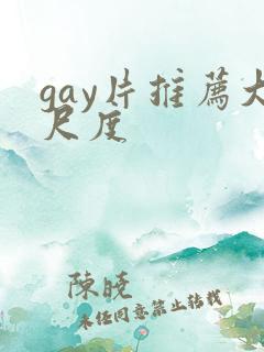 gay片推荐大尺度