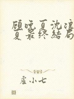 顾晚夏沈浪顾晚夏最终结局