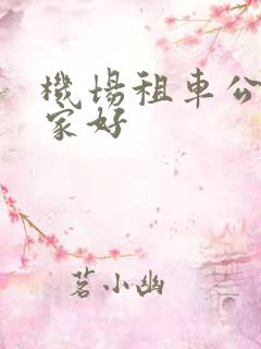 机场租车公司哪家好
