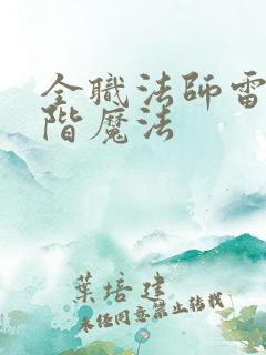 全职法师雷系超阶魔法 全职法师雷系超阶魔法
