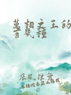万相之王的境界有几种
