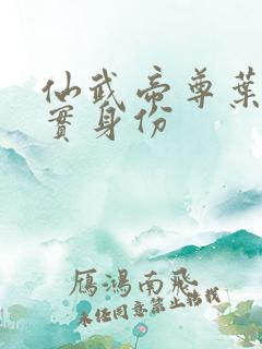 仙武帝尊叶辰真实身份 仙武帝尊叶辰真实身份
