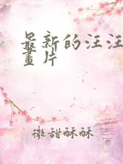 最新的汪汪队动画片